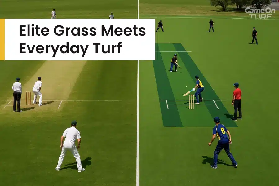 Split field showing turf and natural grass cricket matches side by side.