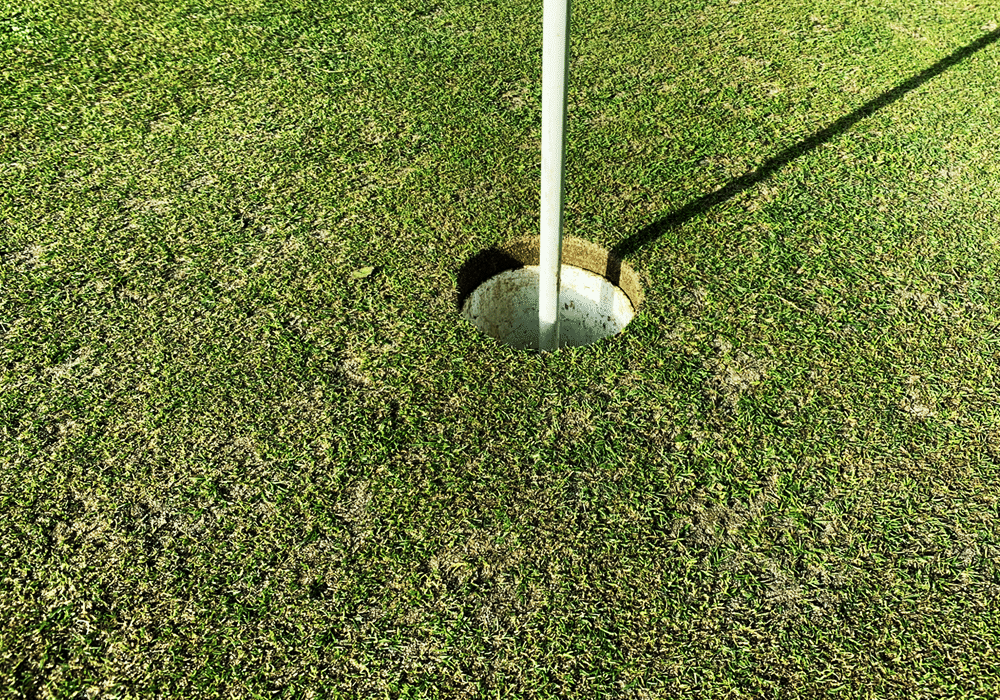 A close-up shot of a golf hole with a white flagstick, showing the detailed texture of the turf on a putting green.